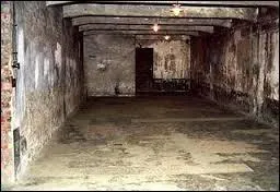 Quel gaz tait utilis pour exterminer les Juifs dans les camps d'extermination ?