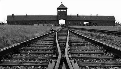 Qui fut extermin par les nazis dans les chambres  gaz ?