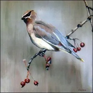 Peinture acrylique de Bruno Audouin : 'Oiseau sur branche de cerisier' !