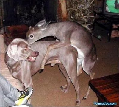 Un couple change de logique lorsqu'il passe de la verticale  l'horizontale !