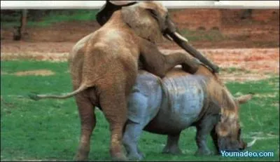 Si coucher avec une fille de 15 ans est un dtournement de mineure, coucher avec une femme de plus de 70 ans est une violation de spulture !