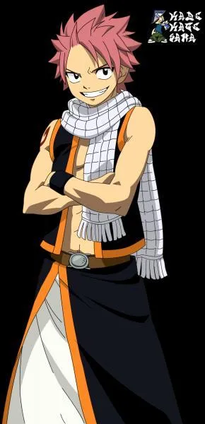 Quel est le nom de famille de Natsu ?