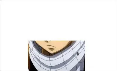 En quoi est faite son charpe ?