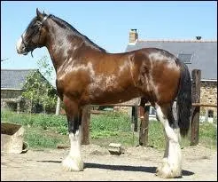 Et les talons mesurent au minimum :