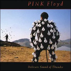 L'album live 'Delicate sound of thunder' est un rsum de la tourne mondiale de ?