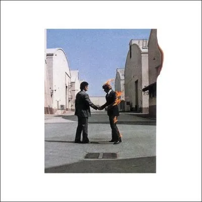 Qui est le diamant fou de 'Wish you were here' ?