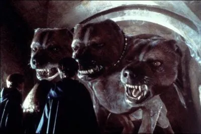 Afin d'empêcher Rogue de s'emparer de la Pierre philosophale dans 'Harry Potter à l'école des sorciers' (1), Harry, Ron et Hermione doivent affronter une série d'épreuves avant de le rejoindre dans les cachots, après être passés sous la trappe gardée par Touffu. Reconstituez l'ordre de passage de ces épreuves.