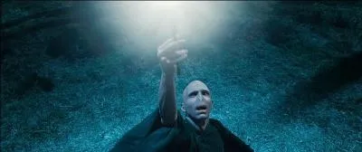 Pourquoi Voldemort n'a-t-il jamais eu d'emprise sur la Baguette de Sureau malgré qu'il l'ait subtilisée dans la tombe de son ancien propriétaire ?