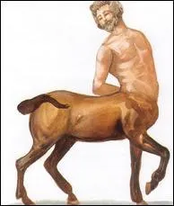 Quel est ce cheval ?