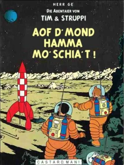 Le dialecte styrien, dans l'est de l'Autriche, fait partie des langues austro-bavaroises ...