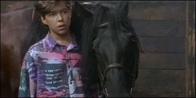 Dans "L'Etalon noir", comment s'appelle le cheval d'Alec ?