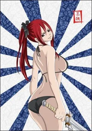 Passons  Fairy Tail, elle a plusieurs d'armures diffrentes, c'est :