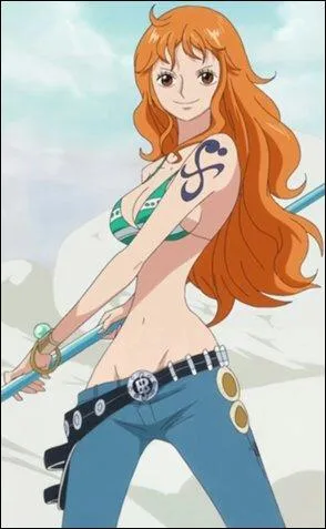 Passons  One Piece, elle aime voler l'argent des pirates, c'est :