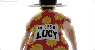 Quel nom Luffy utilise-t-il pour passer inaper�u ?