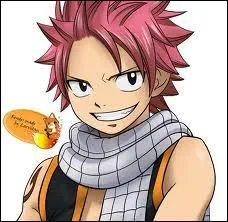 Qui est l'animal de Natsu ?
