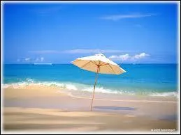 Quelle saison vois-tu ?