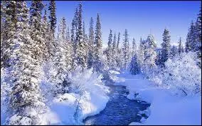 Quelle saison vois-tu ?