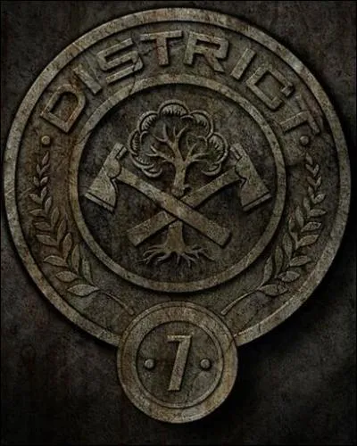 A quoi correspond le district 7 ?