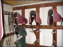 Aprs avoir dessell et dbrid un cheval, que faut-il faire ?