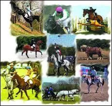 Ainsi que les diffrentes disciplines questres.