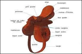 Aussi les diffrentes parties de la selle.