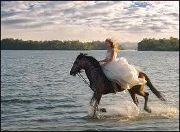 Pour ralentir et arrter un cheval, il faut ...