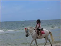 Pour partir au pas il faut ...