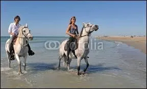 Pour faire tourner un cheval qui est au pas il faut ...