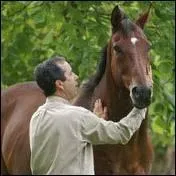 Pour aborder correctement un cheval attach, il faut ...