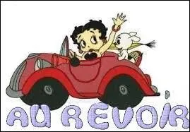 Voil la dernire question, lequel de ces dessins anims n'ai-je pas plac dans ce quiz ? (la photo n'est que purement dcorative)