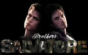 Pendant combien de temps les frres Salvatore ne s'taient-ils pas revus, avant de revenir  Mystic Falls ?