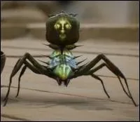 Quel est le nom de cet insecte dont on fait  cadeau   Daenerys pour l'liminer, il a l'apparence d'un gros scarabe  face quasi-humaine et sa piqre est mortelle ?