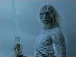 Quel est le nom de la bataille qui mit fin  l'invasion des Autres ?