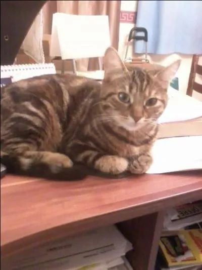 Que fait ma Jessie ?