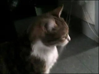 Quel ge avait-elle sur cette photo ?