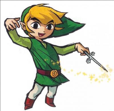 Quelles sont les couleurs de la tenue de Link ?