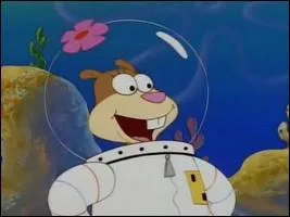 Je suis .......................