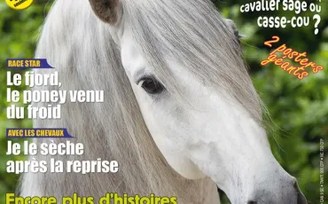 Quiz Poneys