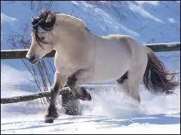 Le fjord est apparu  l'poque des Vikings.