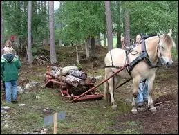 Il n'est plus utilis pour le dbardage.