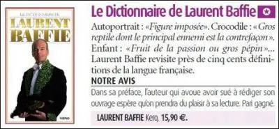 Dfinition du dictionnaire : Enorme bouquin qui nous explique comment peler un mot ...