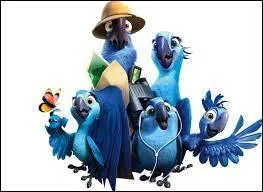 Mais finalement qui les retrouve ?