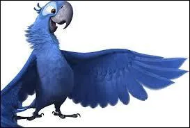 Qui prte sa voix  Blu ?