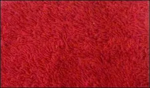 Maintenant, dites-moi quel est ce tissu :