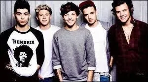 De quel groupe Harry fait-il partie ?