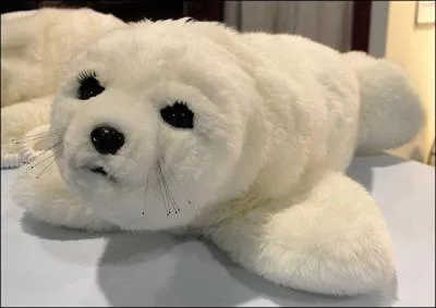 Les japonais ont conu cet adorable robot bb phoque, dans quel but ? Cochez la rponse fausse.