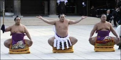 Que sait-on de ce sport devenu phnomne international, le sumo ou koten sumo, ces rges sont-elles les bonnes ? Cochez la mauvaise rponse.