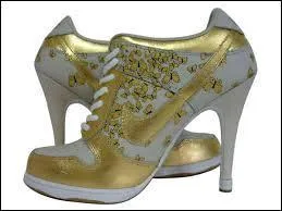 Quel est ce type de chaussures ?