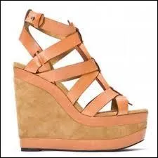 Quel est ce type de chaussures ?