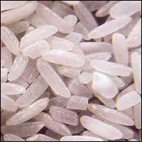 Le riz des rizires copine-t-il avec les poissons ou avec les oiseaux ?